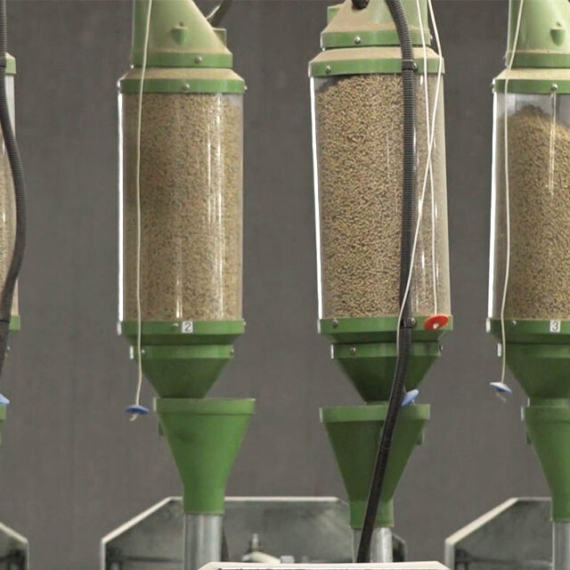 Alphagene_Article_GudieNutritionEtAlimentation