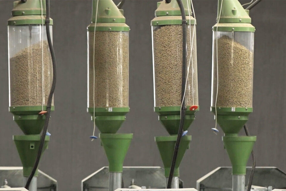 Alphagene_Article_GudieNutritionEtAlimentation