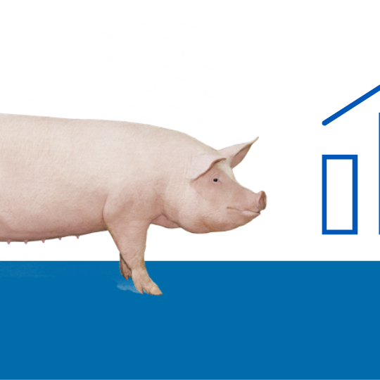 Performance AlphaGene Performance AlphaGene